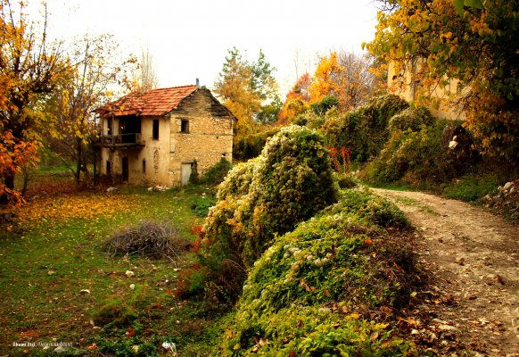 İlhami Etçi  (Üçüncülük Ödülü) 