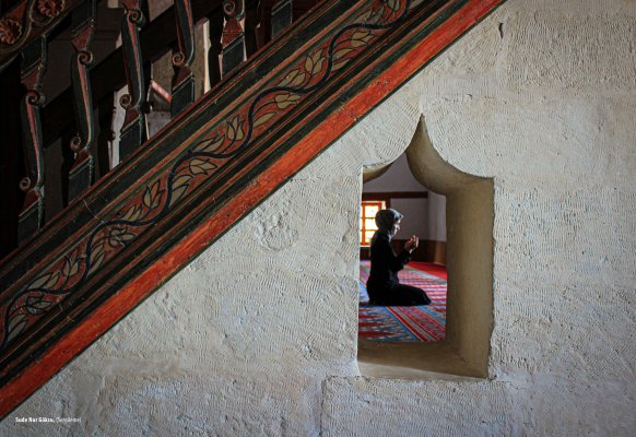 Sude Nur Göksu  (Sergileme) 