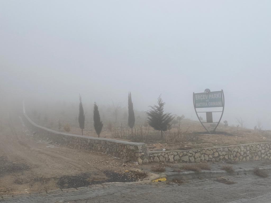 Taş Duvar_01